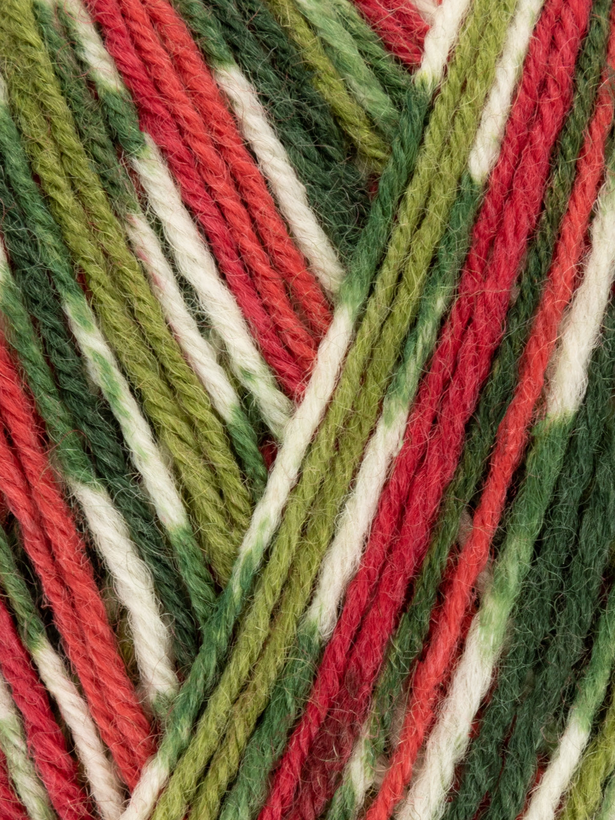 Signature 4 Ply Christmas!