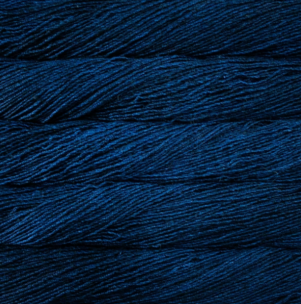 Treasured Skein Scarfette Kits (KNIT) for LYS Day 2026